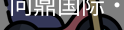 问鼎国际